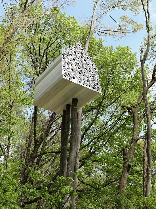 tree-house-11