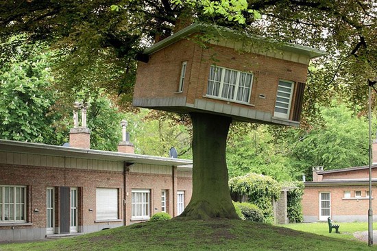 tree-house-13