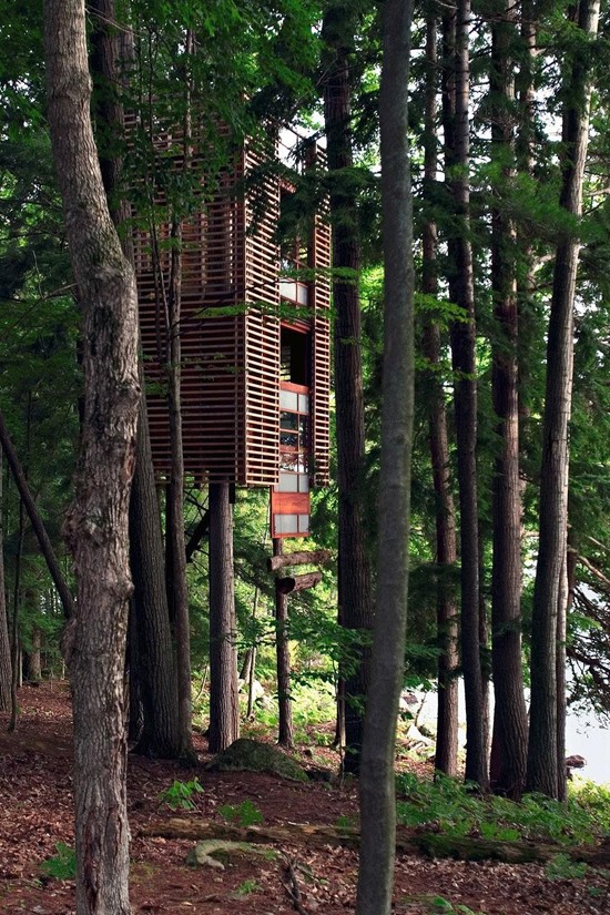 tree-house-15