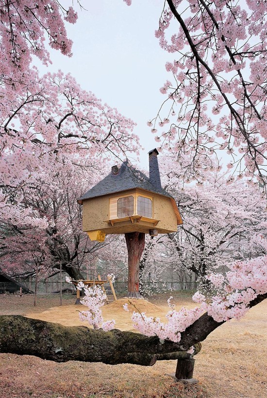 tree-house-18