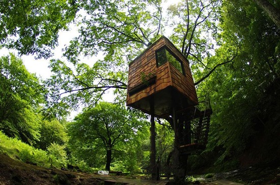 tree-house-9