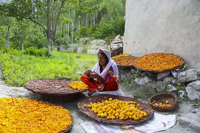 gilgit culture