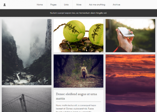 Elise-Like-a-magazine-Tumblr-Theme