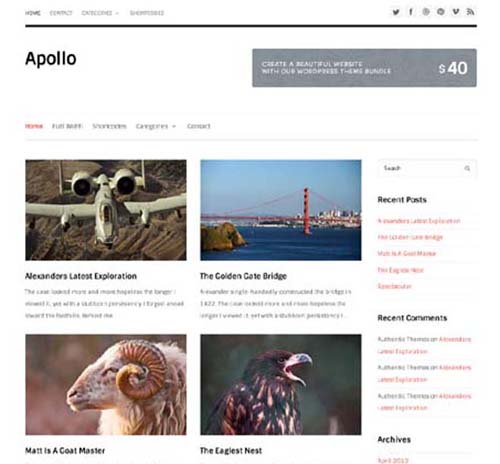 apollo.free.wordpress.theme