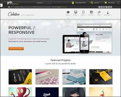 celestino-clean-and-creative-portfolio-theme