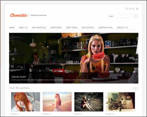 free-wordpress-theme-cleanistic