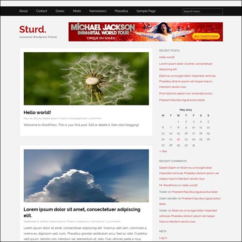 sturd-wordpress-theme