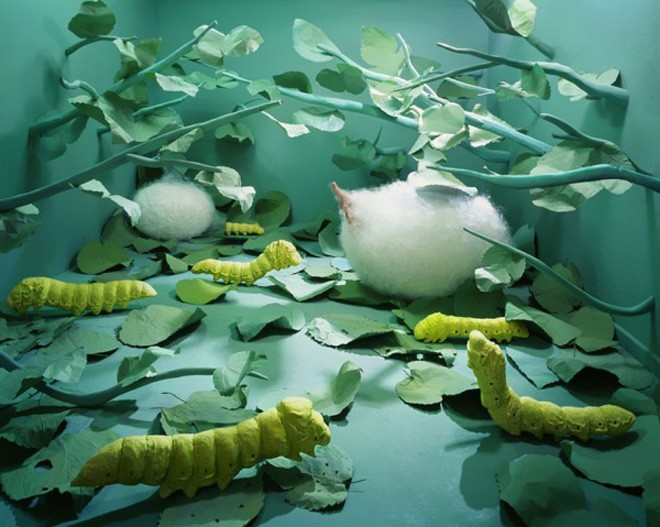 Stage of Mind, Artist Jee Young Lee Transforms Her Small Studio Into Surreal Worlds