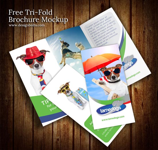 Free Tri Fold Brochure Mockup PSD Template