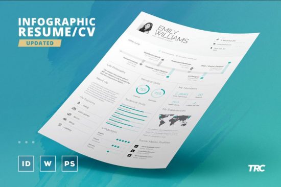 Infographic Resume