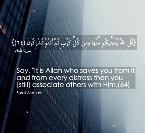 quranic verses 6