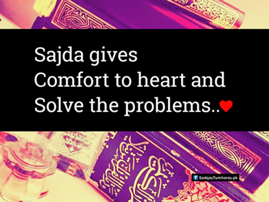 sajda quote