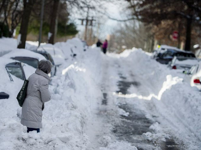 Photographs of New York City Winter Storm 2016 Blizzard