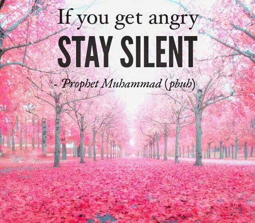 Islamic Anger Quotes