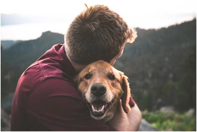 Pet-Memorials