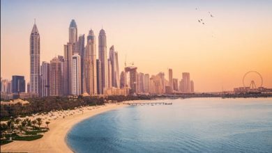 Why Hiring A Real Estate Agent In Dubai Worth Every Dime