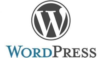 wordpress-for-Small-Business-Website