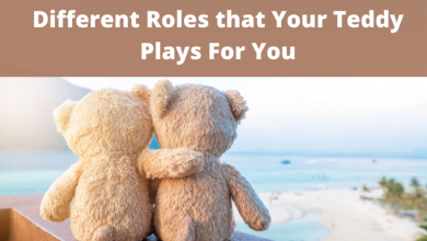 Different Roles that Your Teddy Plays For You