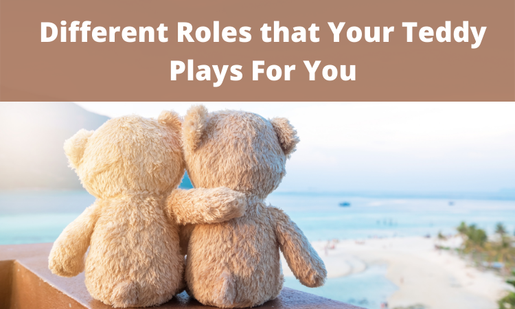 Different Roles that Your Teddy Plays For You