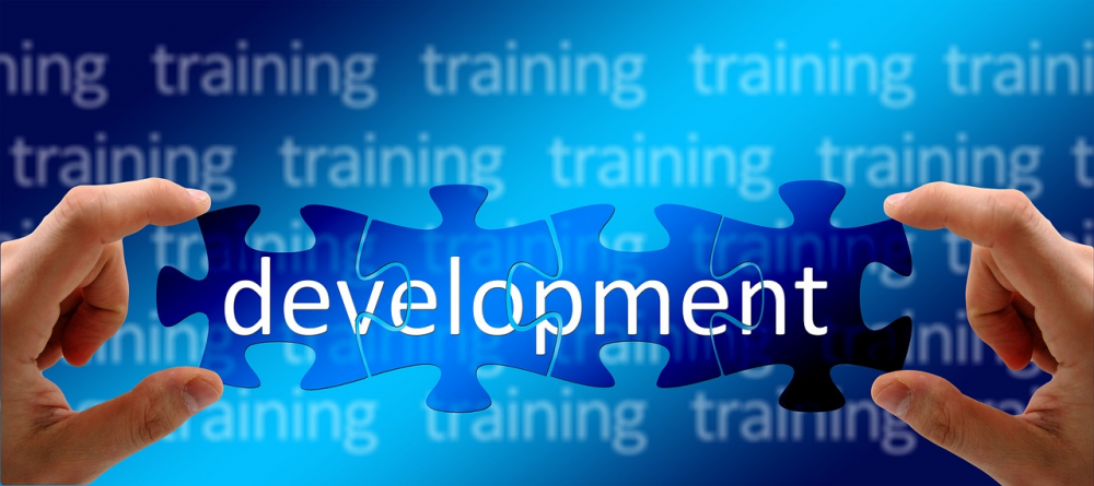 Offer Staff Training and Development