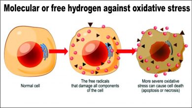 Molecular or free hydrogen against oxidative stress