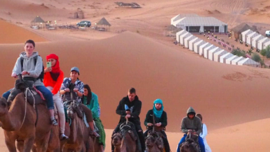 12 Best Things To Do In Morocco