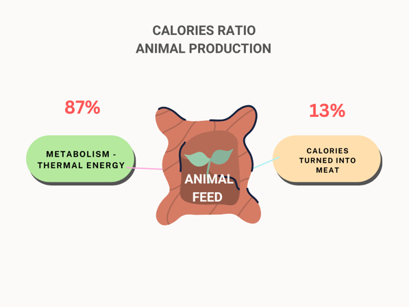 3 Less-known Benefits of a Plant-Based Diet