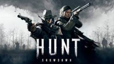 Hacking in Hunt Showdown: The Risks and Technique