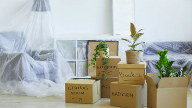 Tips to Choose Movers and Packers for Your Move