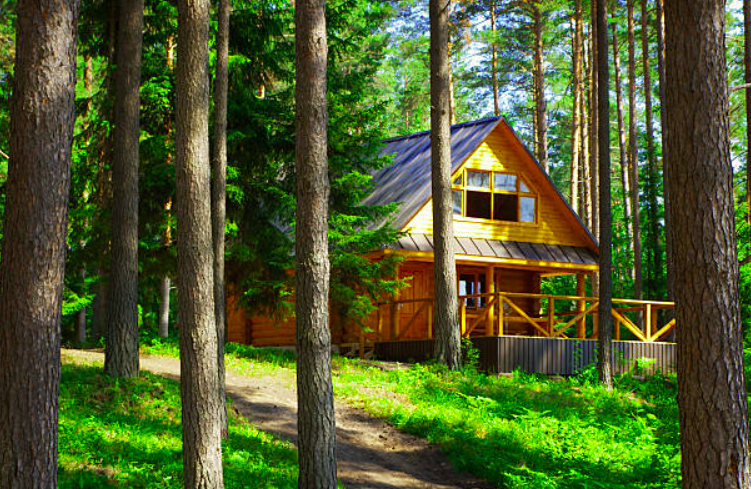 Rent a Cozy Cabin in the Woods