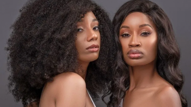 What Cheap Human Hair Wigs Are Trending Today?