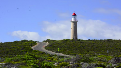 The Best of Kangaroo Island by Campervan