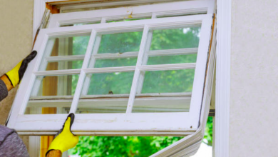 How To Pet-Proof After Windows Replacement Richmond Hill