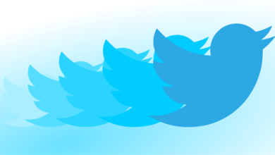 How to Choose the Best Websites to Buy Twitter Followers