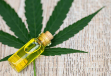 How to Find the Best CBD Oil