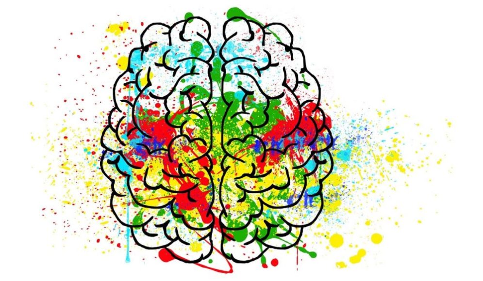 Bilingual Education and Brain Plasticity