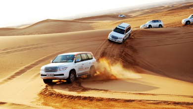 Experience the Unforgettable Desert Safari Tour with Desert Safari Dubai