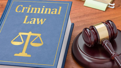 Delving Deep into Criminal Law: A Comprehensive Insight