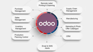 Step-by-Step Guide to Configuring Bill of Materials in Odoo 16