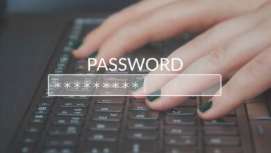 A Comprehensive Guide on How to Password-Protect Text File