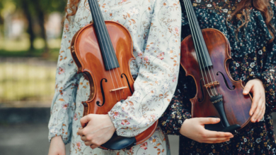 Safeguarding Sound, Style, and Strings with the Ultimate Violin Case