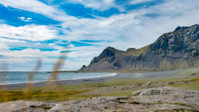 South Iceland Sojourn: Discover Majestic Landscapes with Unforgettable Tours