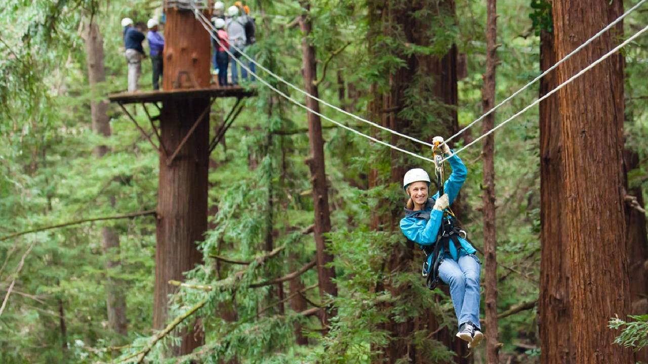 Zip-lining Through Redwood Forests