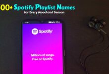 Best Spotify Playlist Names for Every Mood and Season