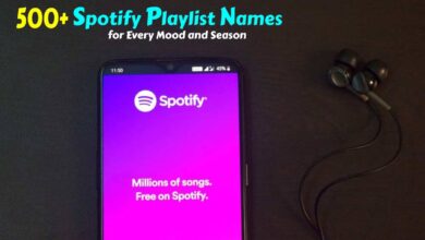 Best Spotify Playlist Names for Every Mood and Season