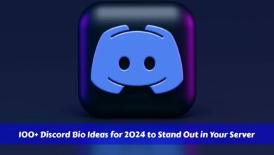 100+ Discord Bio Ideas for 2024 to Stand Out in Your Server