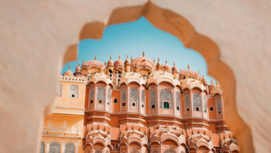 Reasons Why Everyone Loves Rajasthan