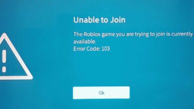 How to Fix Roblox Error Code 103