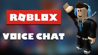 How to Get Roblox Voice Chat