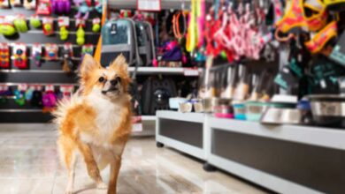 Improve Your Pet Store Operations with a Modern POS System